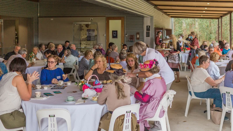 Program and event terms and conditions