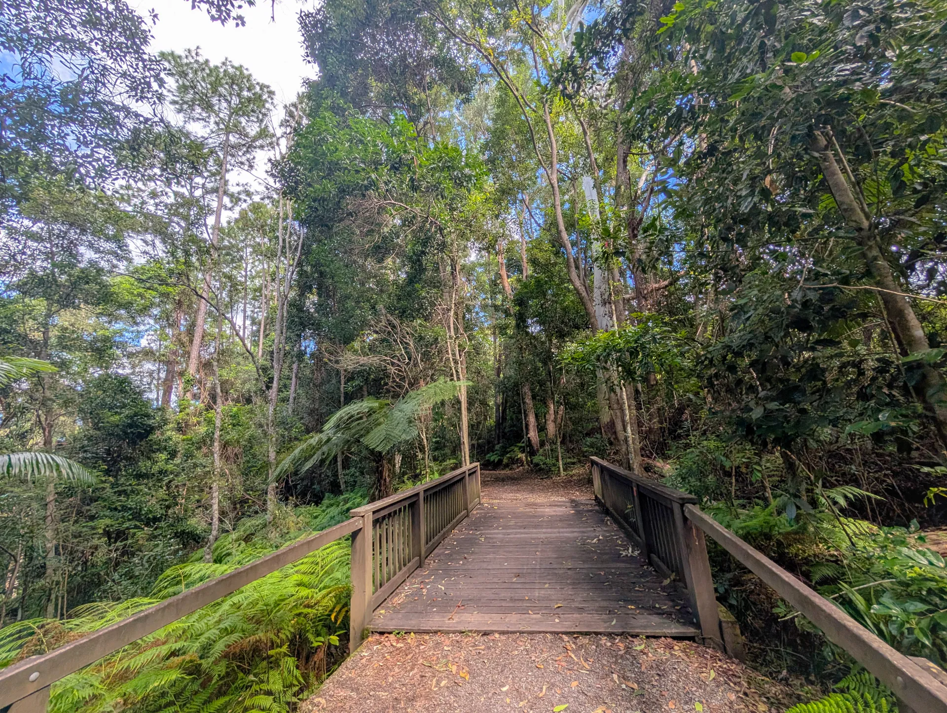 Buderim Tramway Trail