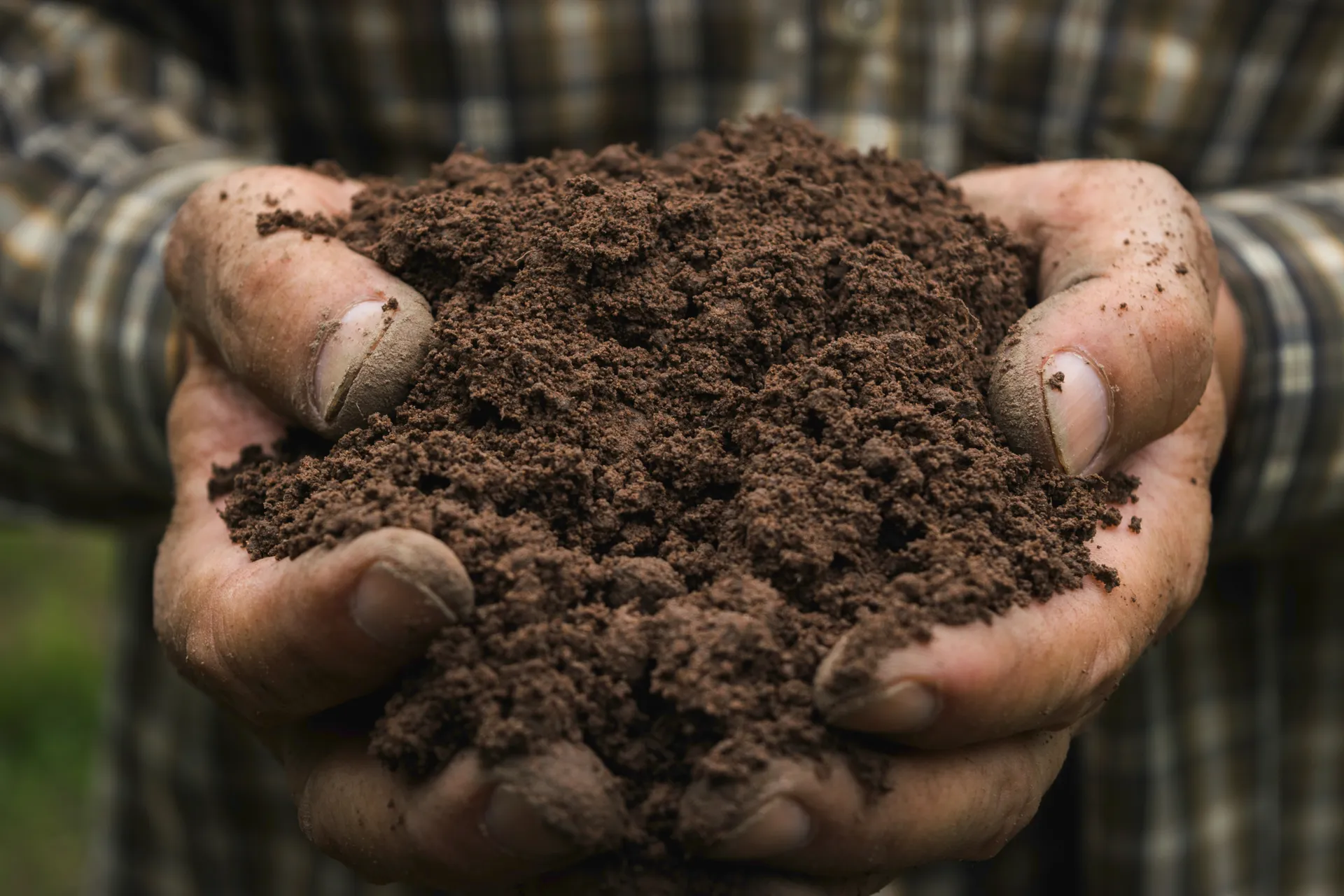 Soil