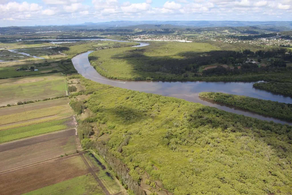 Maroochy-River-Wetlands-Oct-2018-1024x683.jpg