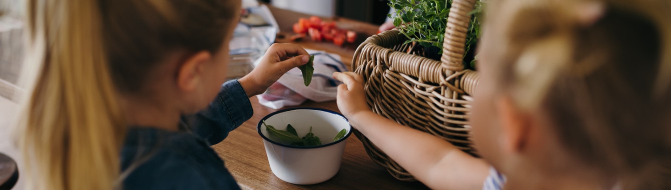 7315FD8E-35C6-464D-B4A5-C4F7ACED1520