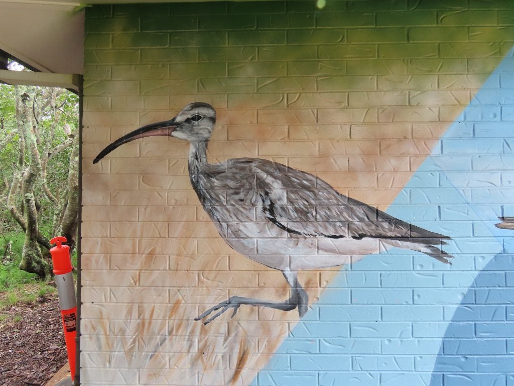 
North Shore Mural -Whimbrel