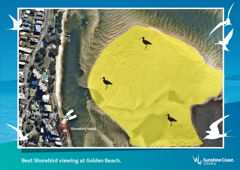 210217_Maps-for-Shorebird-Watching-Golden-Beach_FB.png