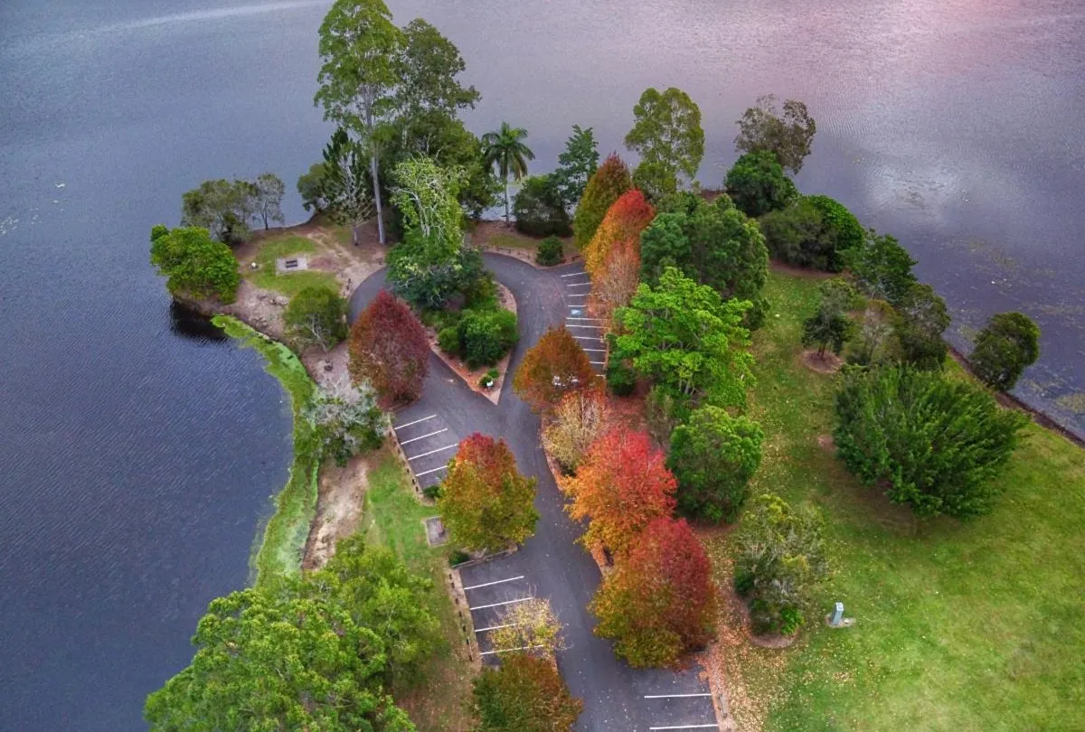 Wappa Dam and Falls