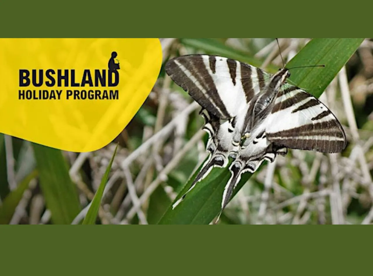 Bushland Holiday Program text and image of butterfly