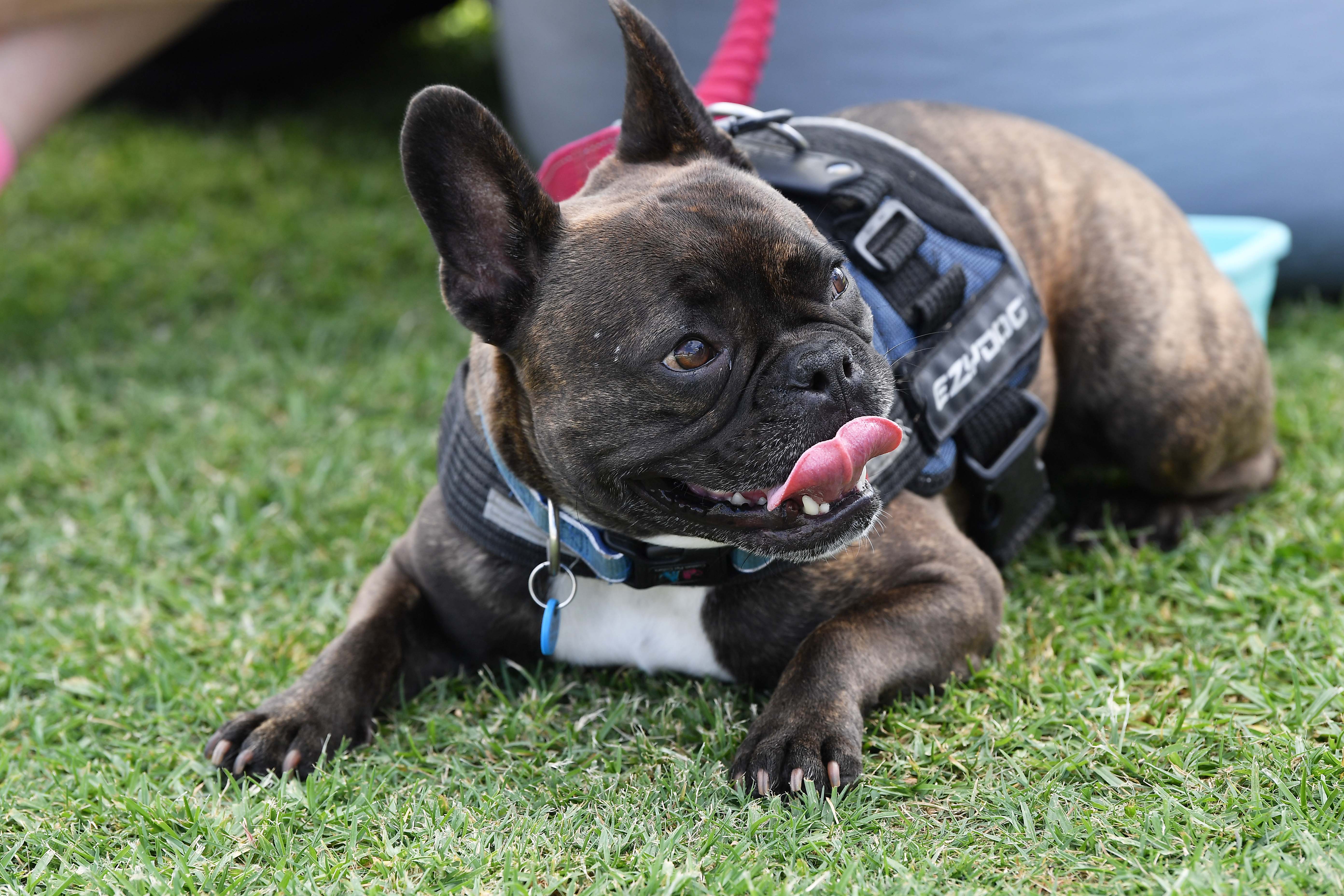 Chilling out after a busy morning
