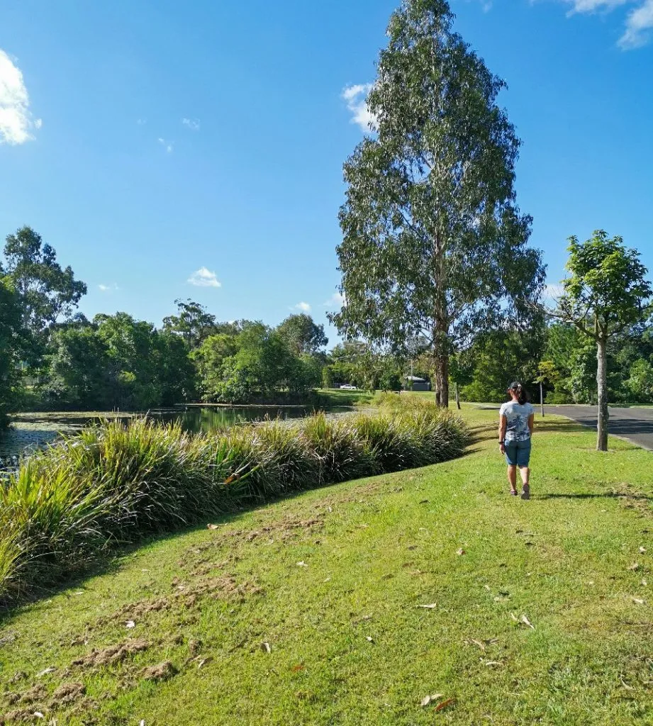 Mooloolah-2-921x1024.jpg