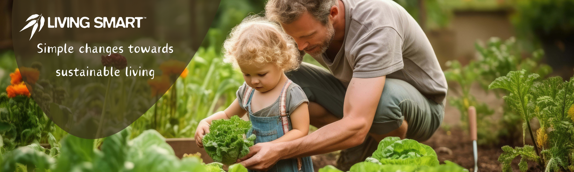 man and child pick a lettuce in a vegetable garden