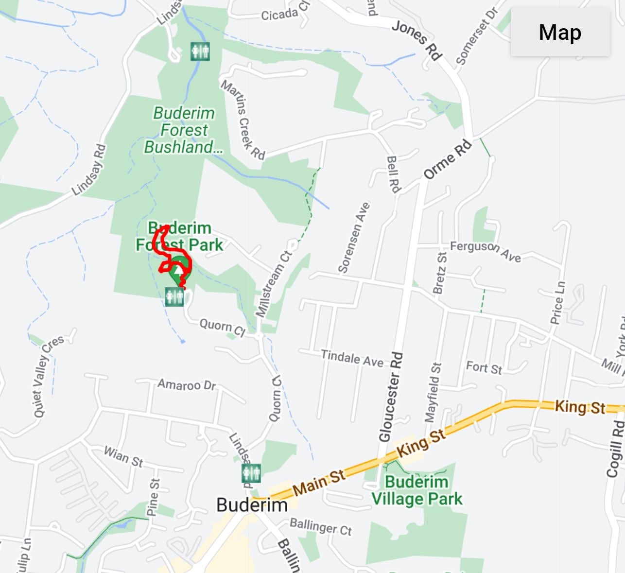 Buderim Forest Park - Falls Loop