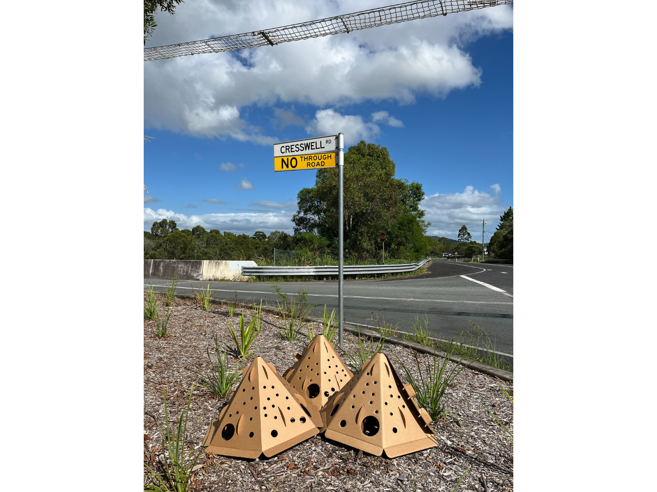 Shelter from predators for animals crossing the land bridge has been provided in the form of innovative habitat pods.
These are tiny biodegradable teepee-shaped cardboard structures, which provide temporary wildlife habitat until the native plants mature.
These pods, created by wildlife ecologists at ReHabitat, will biodegrade over time, enriching the soil and promoting vegetation regeneration.