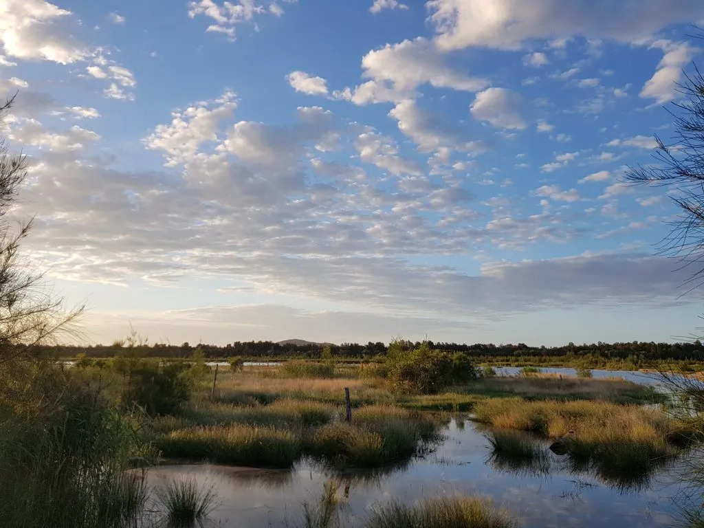 Yandina-Creek-Wetland_Photo-credit-Unitywater-1024x768.jpg