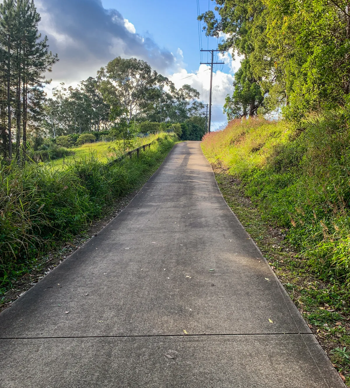 Woombye to Palmwoods trail