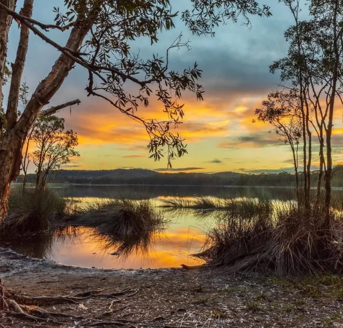 Discover Sunshine Coast's natural beauty with guided bushwalks