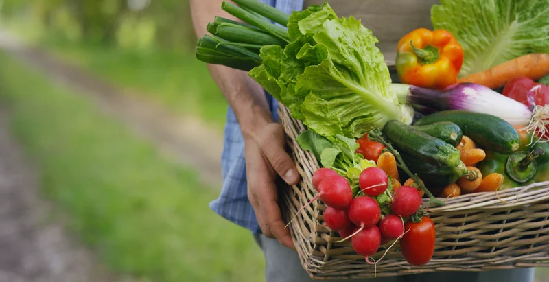 garden produce