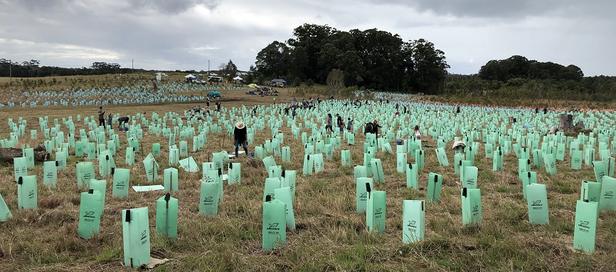 1608C0D9-8CF6-4774-9FA9-BB197BF003EA