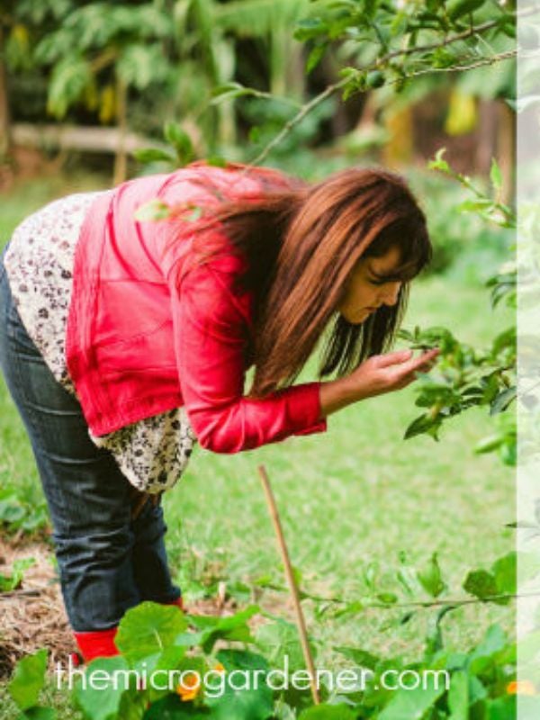 The Micro Gardnjer checking her plants