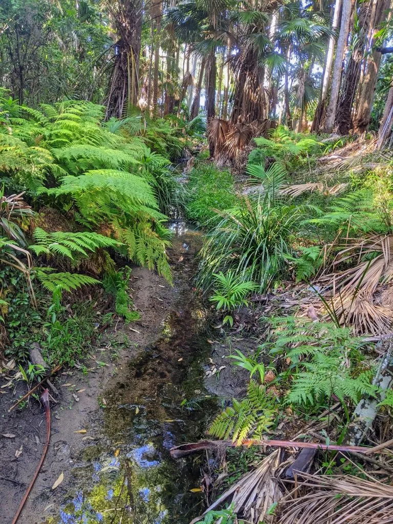 Alex-Heads-Conservation-Walk-9-768x1024.jpeg