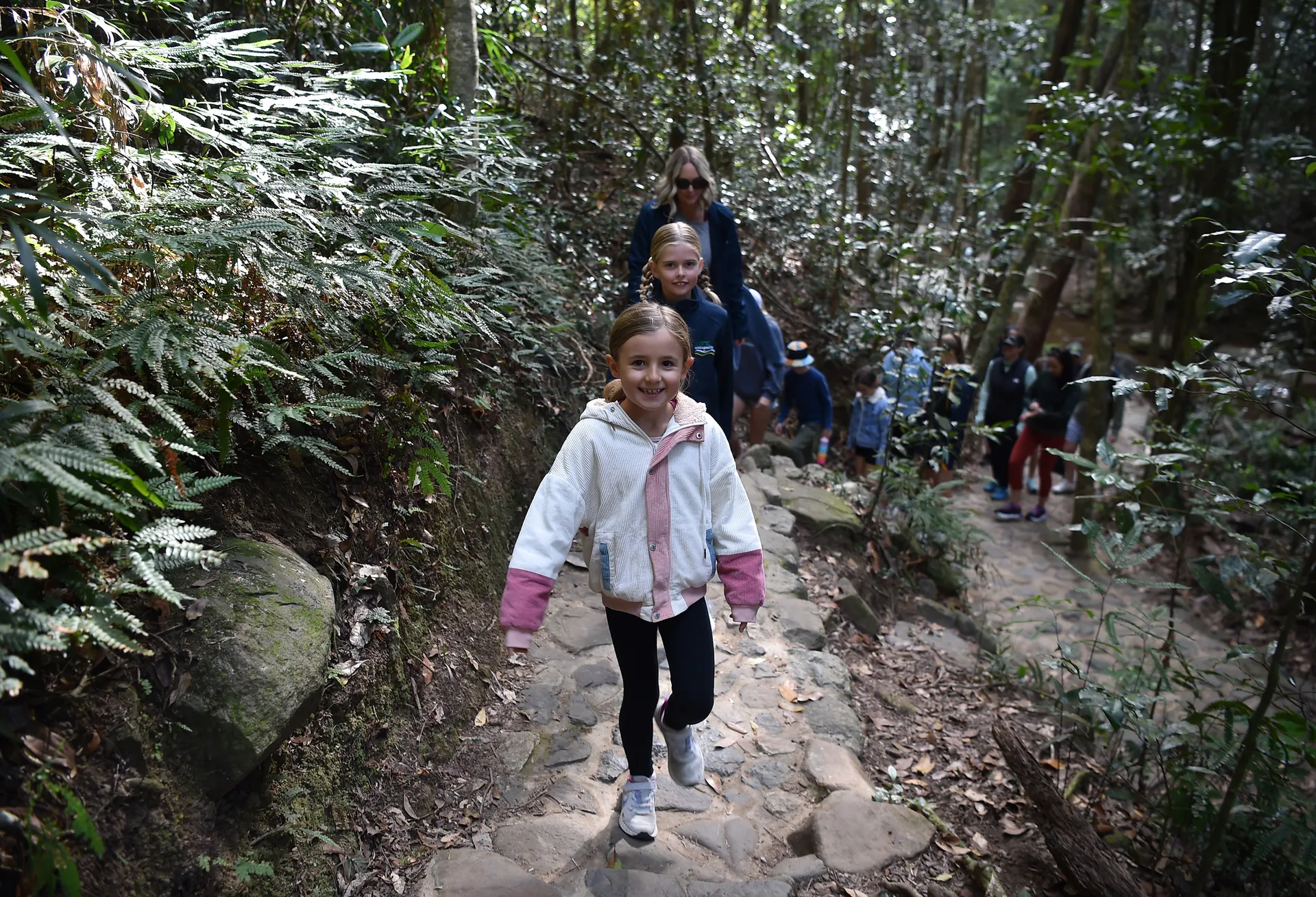 Buderim Forest Park - Falls Loop