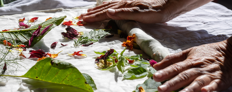 Botanical eco-printing
