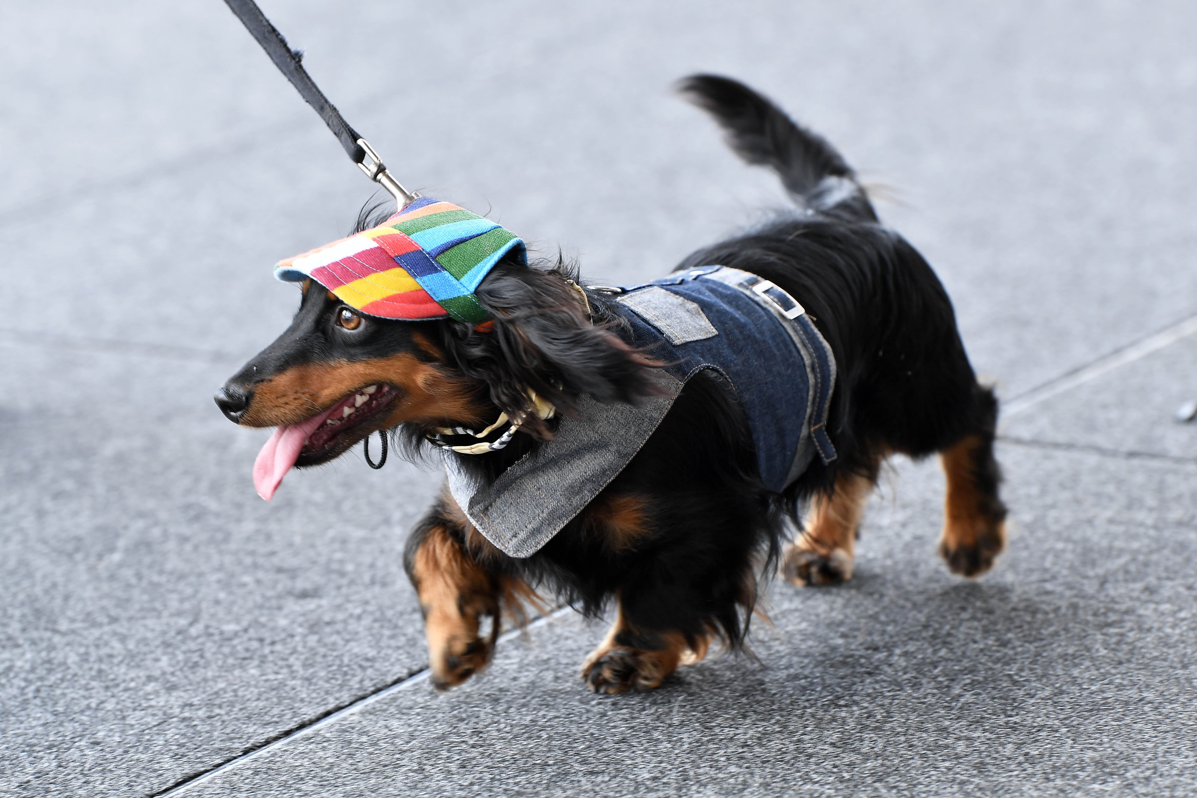 Looking smart and being sun safe