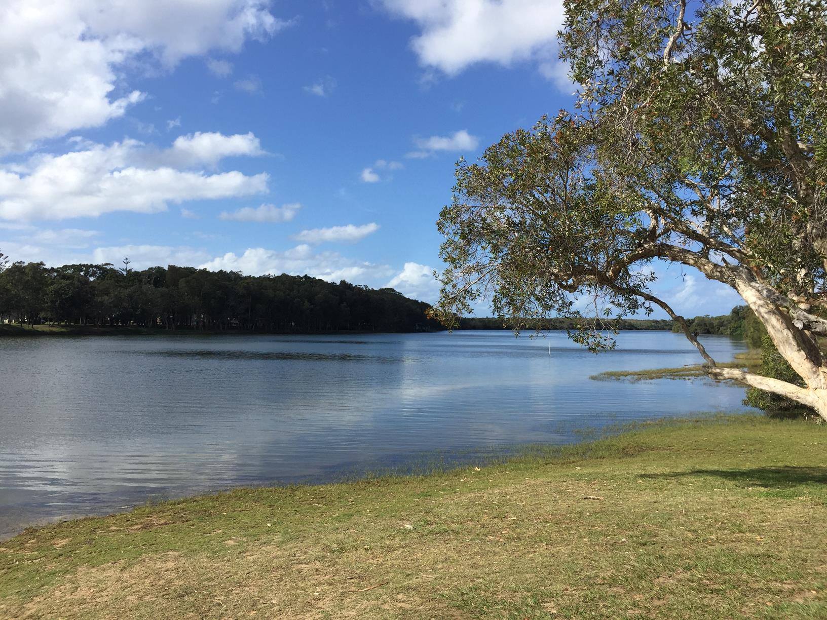 Currimundi Lake – ‘loop the lake’ walk | OurSC