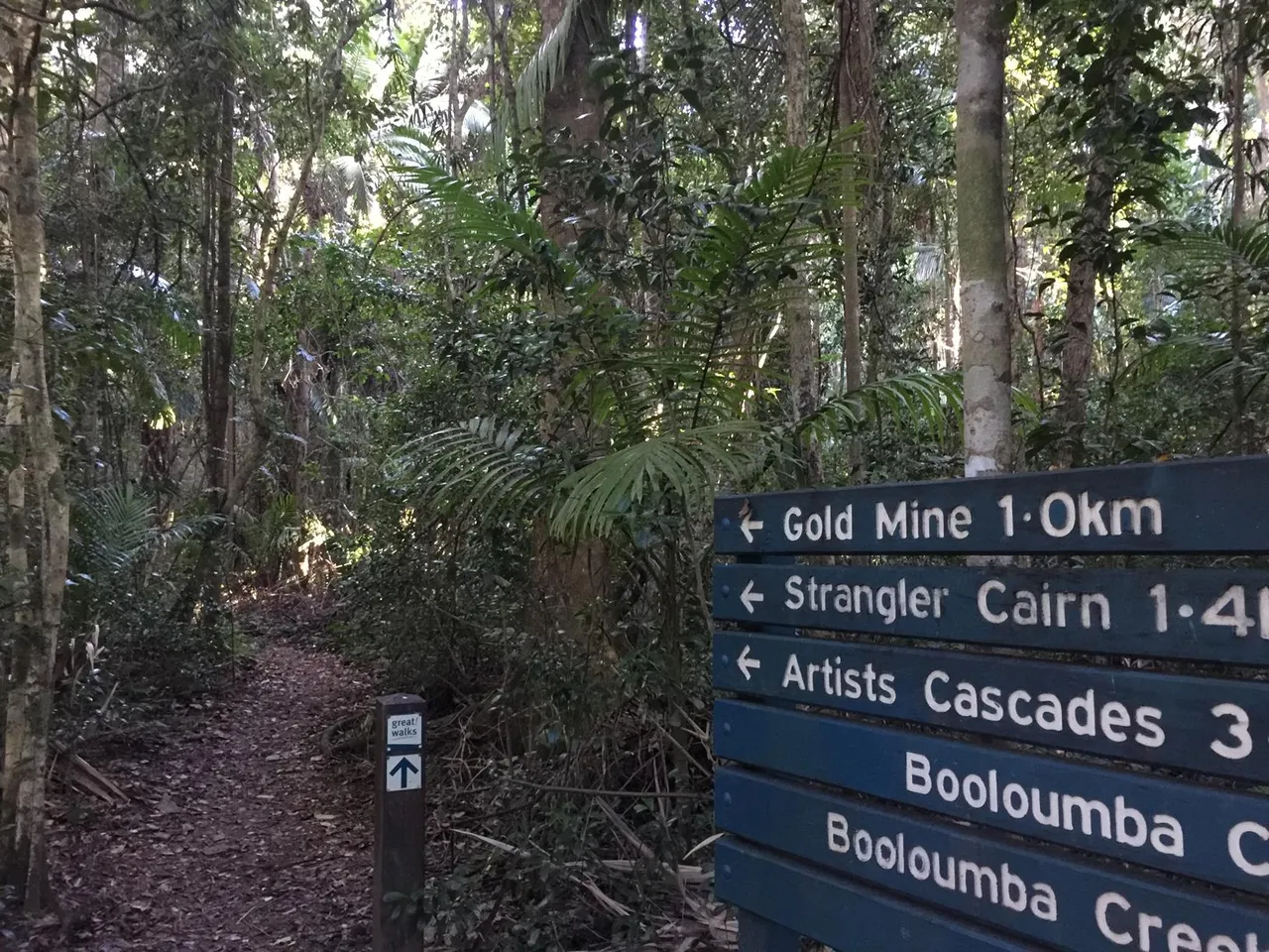42833_Conondale%20Ranges%20NP%20Booloumba%20Gold%20Mine%20walk%20IMG_3274.jpg