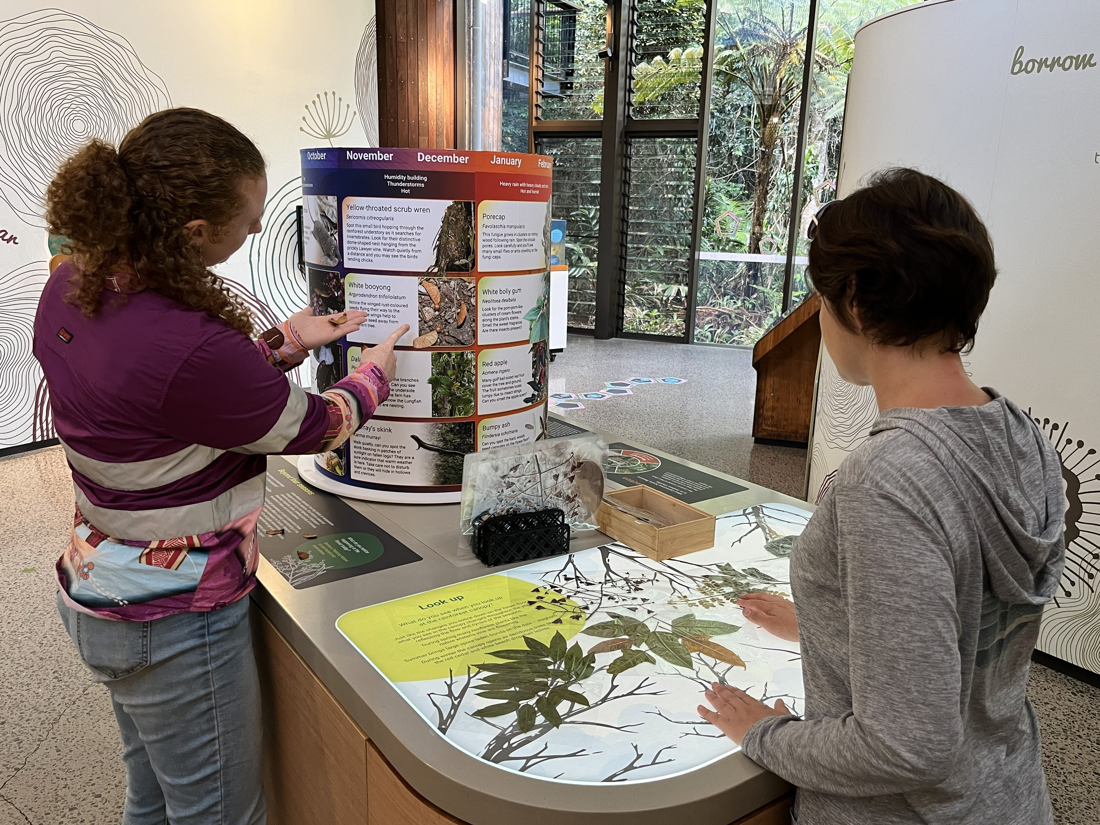 Mary Cairncross Forsest Sensing Exhibit 