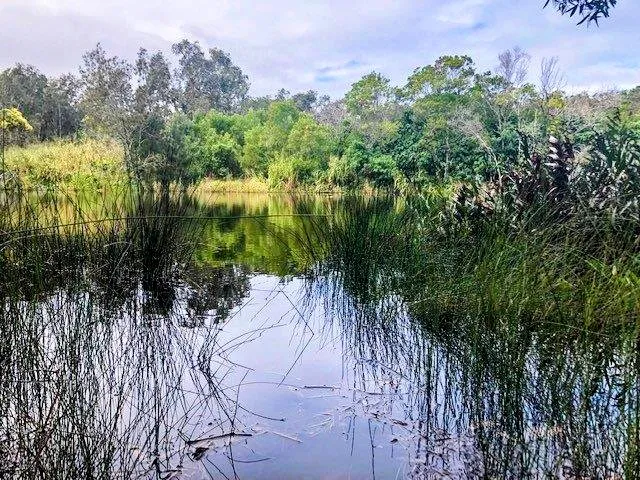 Stumers Creek to Magenta Drive Park, Coolum