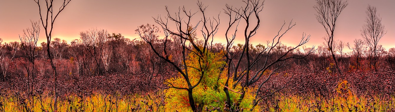 42C8A30C-4EF8-434C-B9AE-161F91E9461D