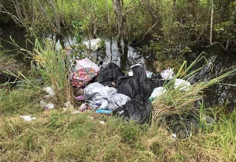 Loose and bagged rubbish dumped illegally near a creek.