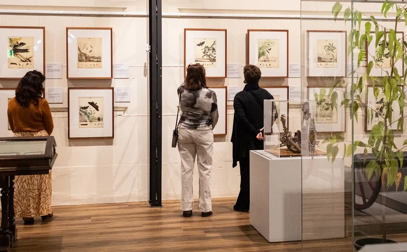 people admiring the Scott sisters exhibition