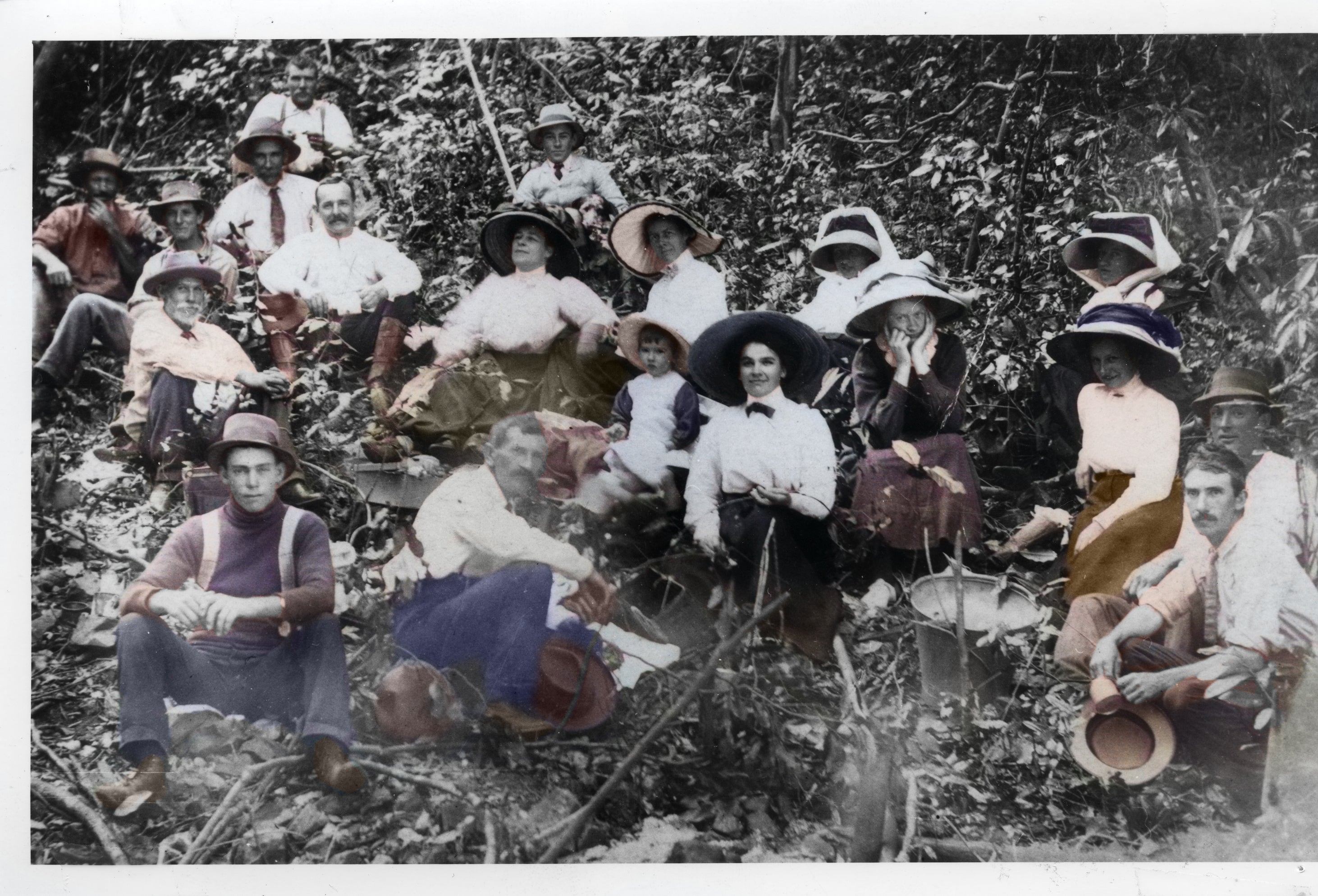 Eumundi Museum Image: Picnic in the scrub after the felling of the big Kauri Pine, Eumundi 1912.