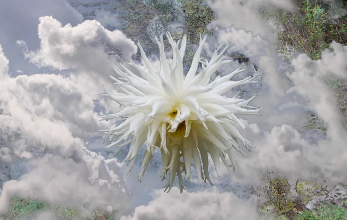 Dissolving World still image