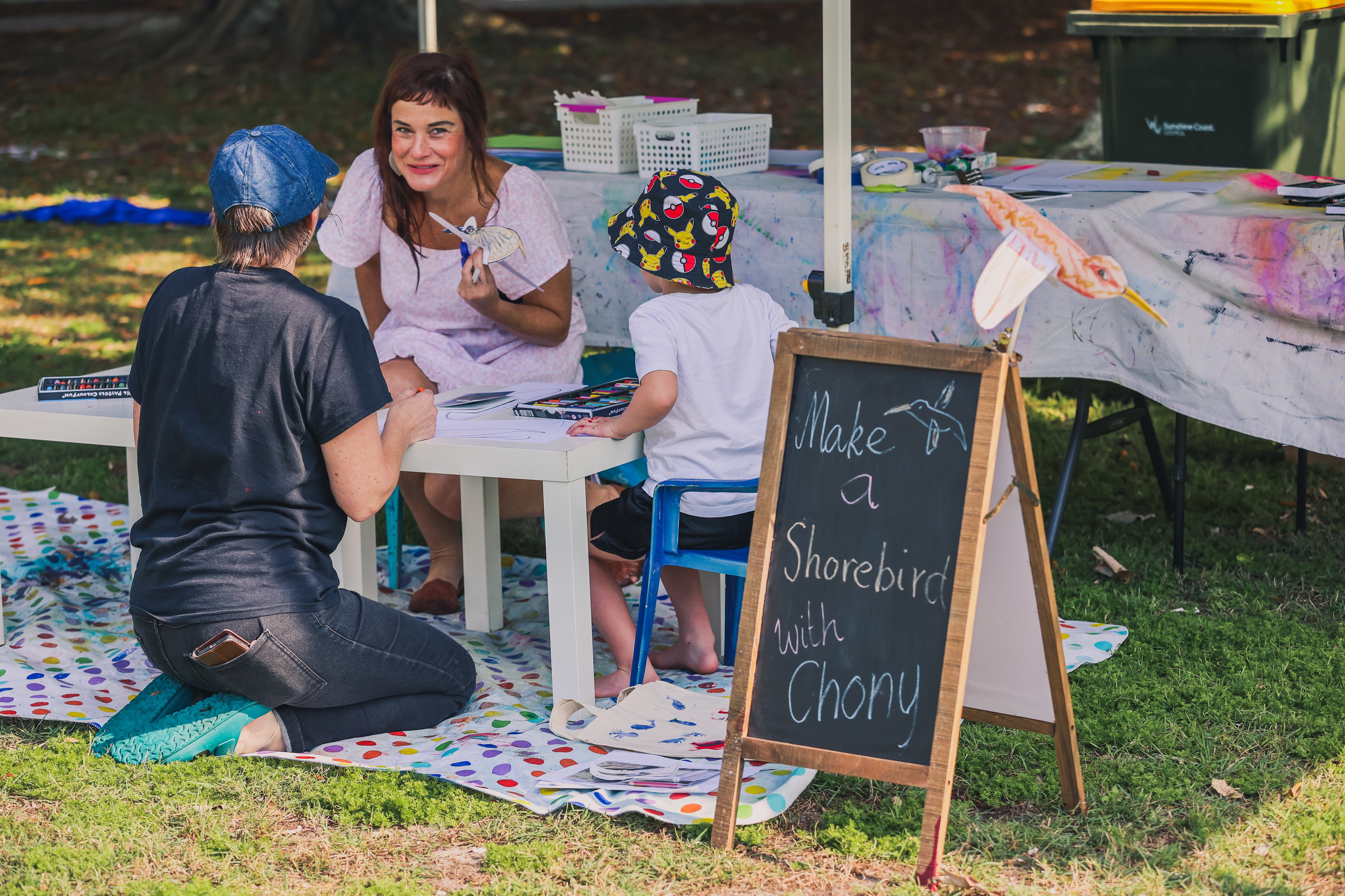 shorebird festival activities