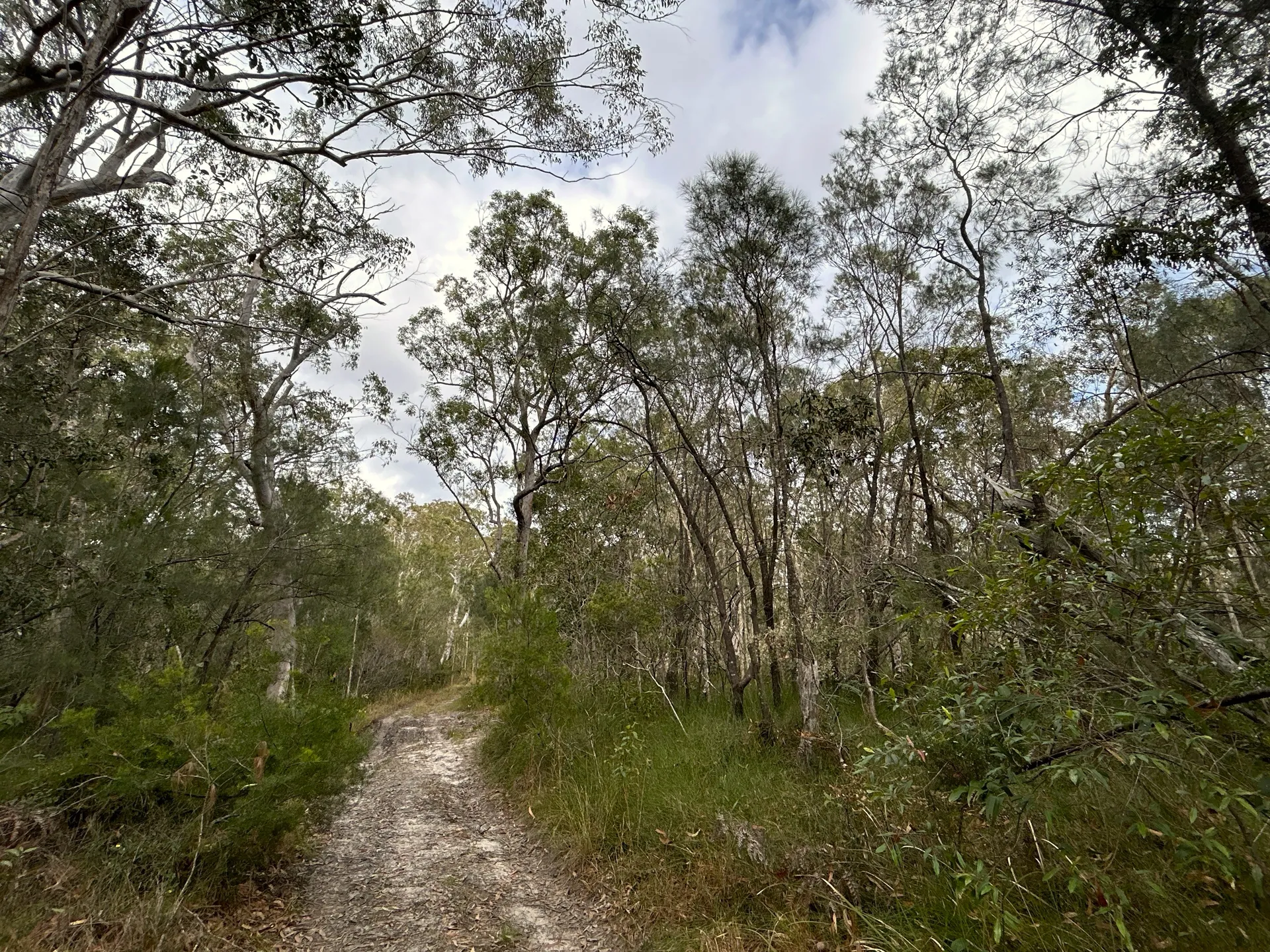 Monak%20Road%201.jpg