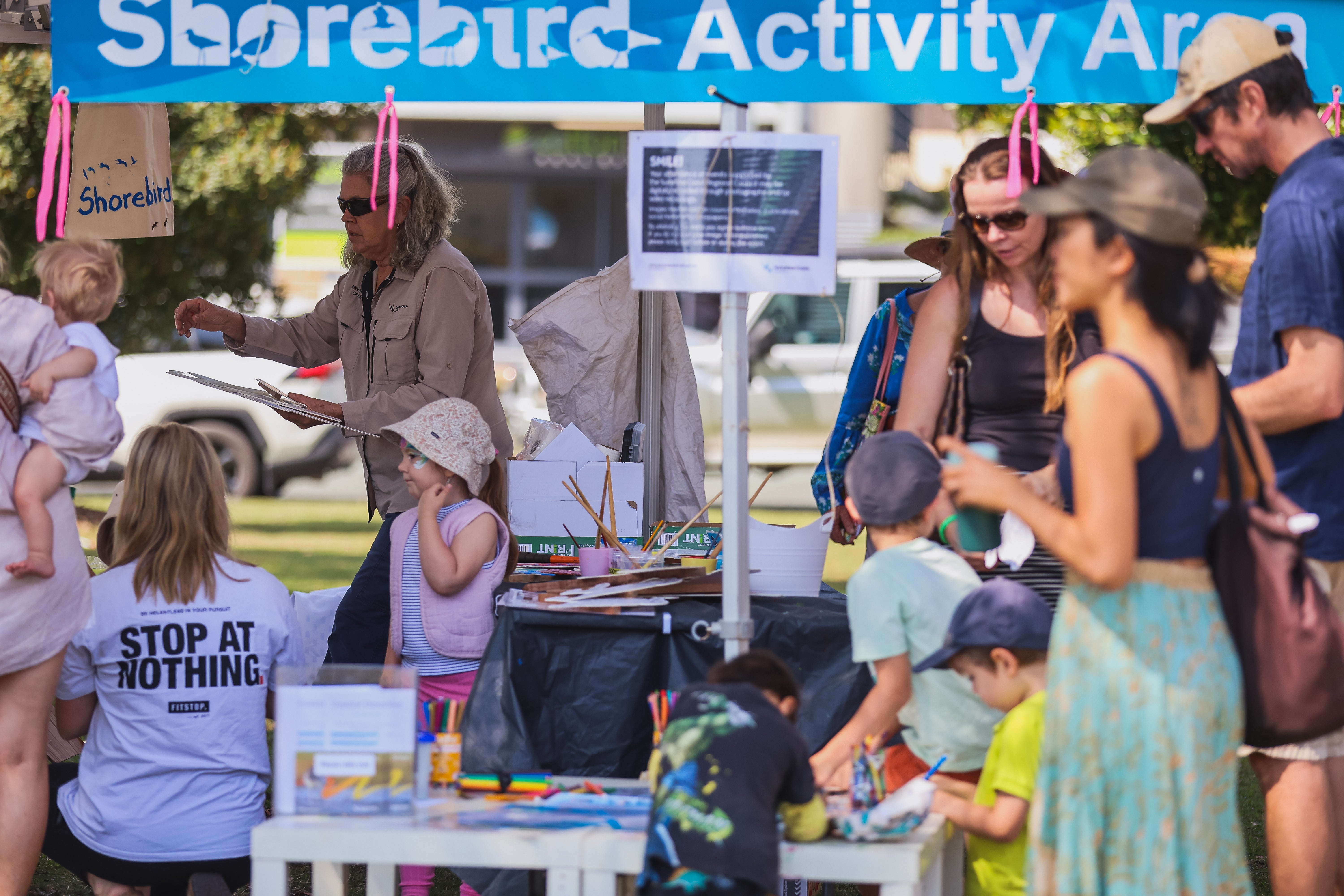 shorebird festival activities