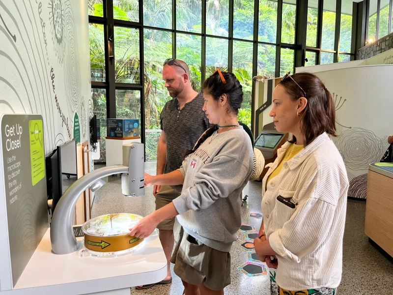 Forest Sensing Mary Cairncross