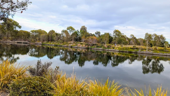 Adventure: Brightwater ‘Loop the Lake’ walk – (3.5km)