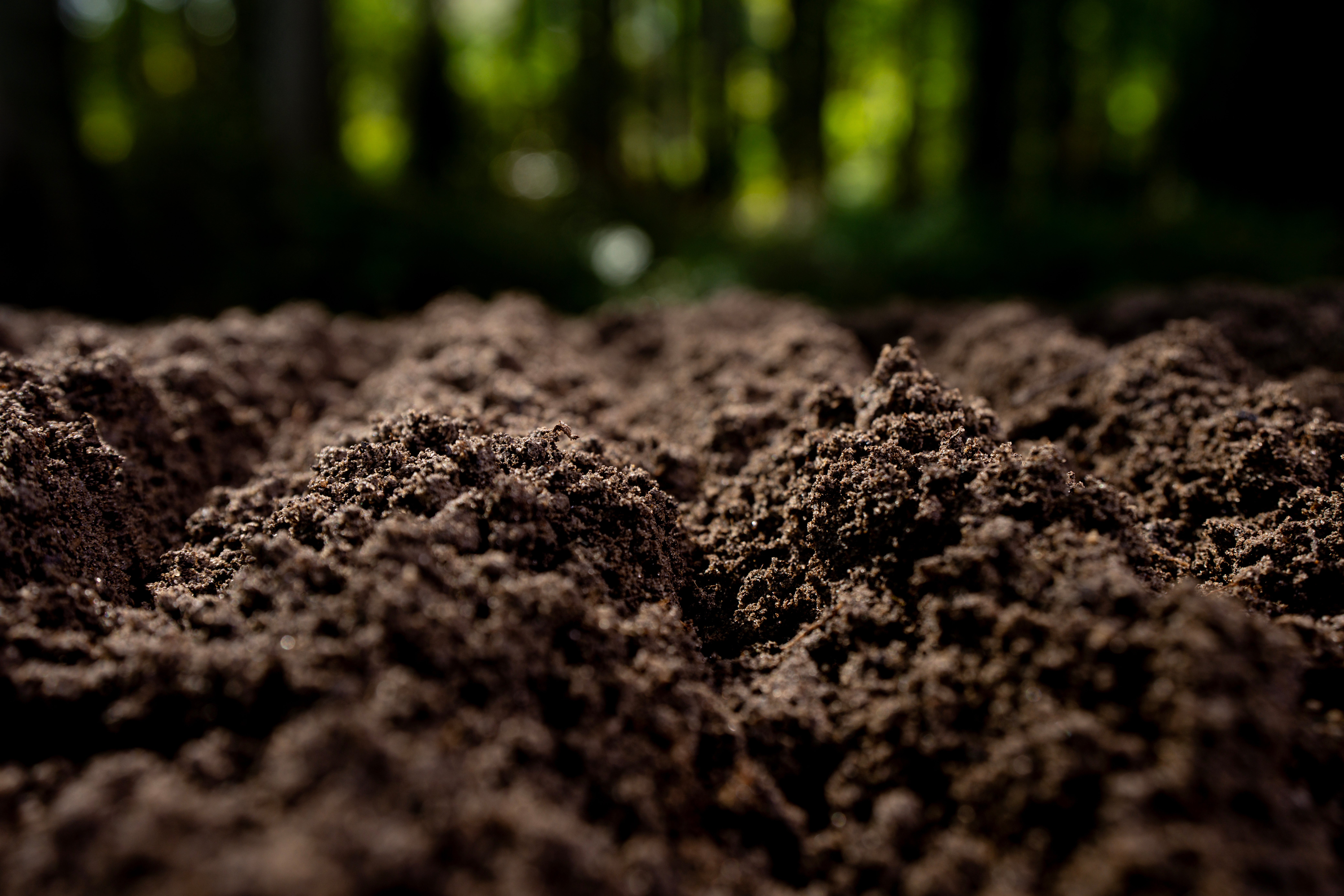 compost