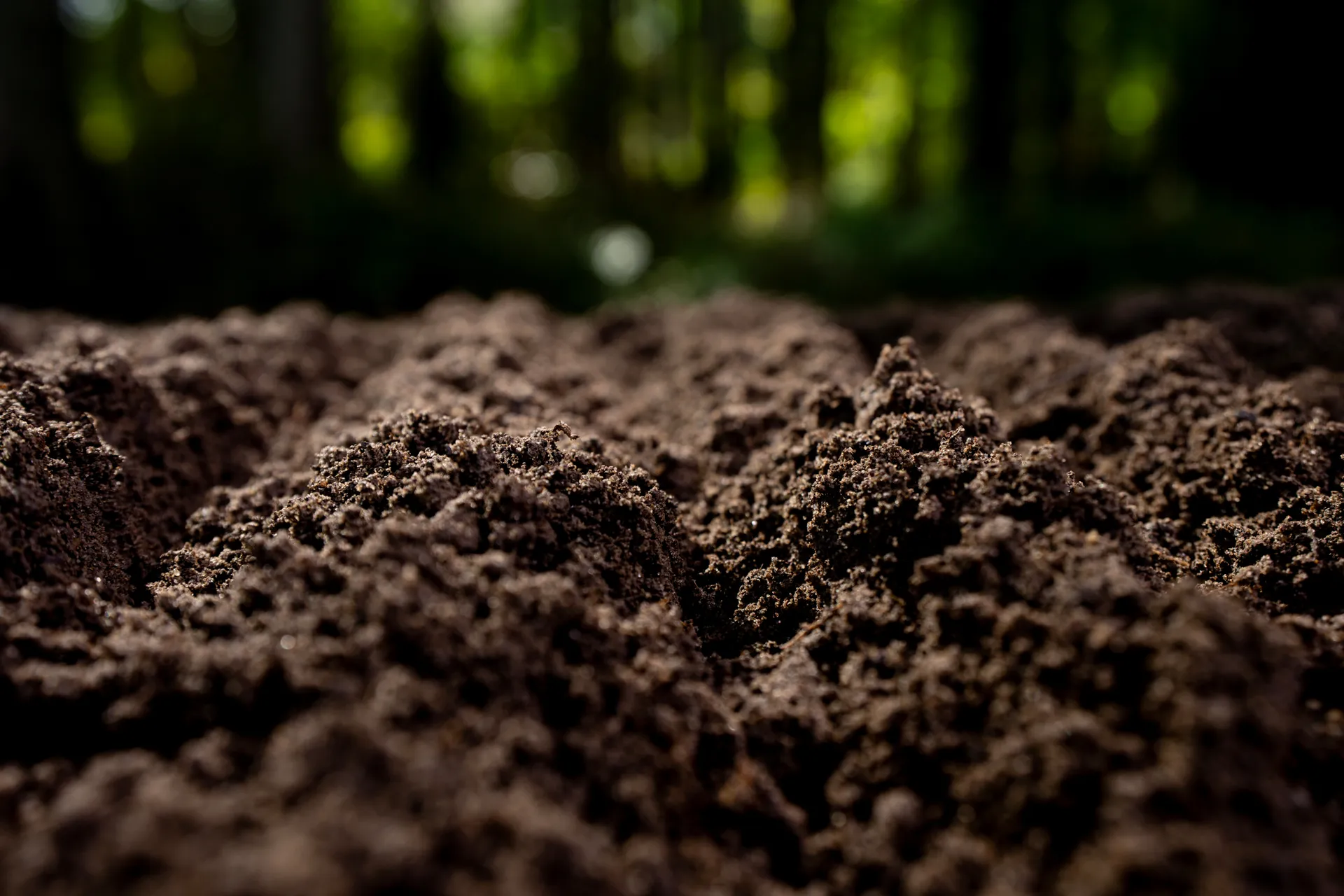 compost
