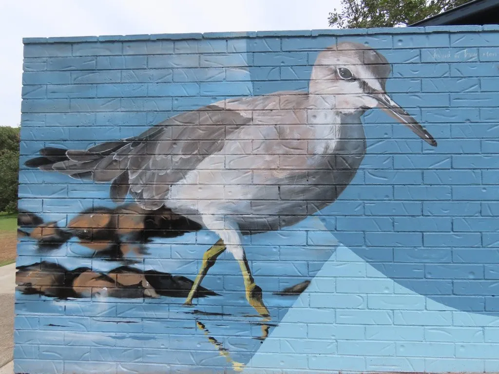 North Shore Mural Grey-tailed Tattler