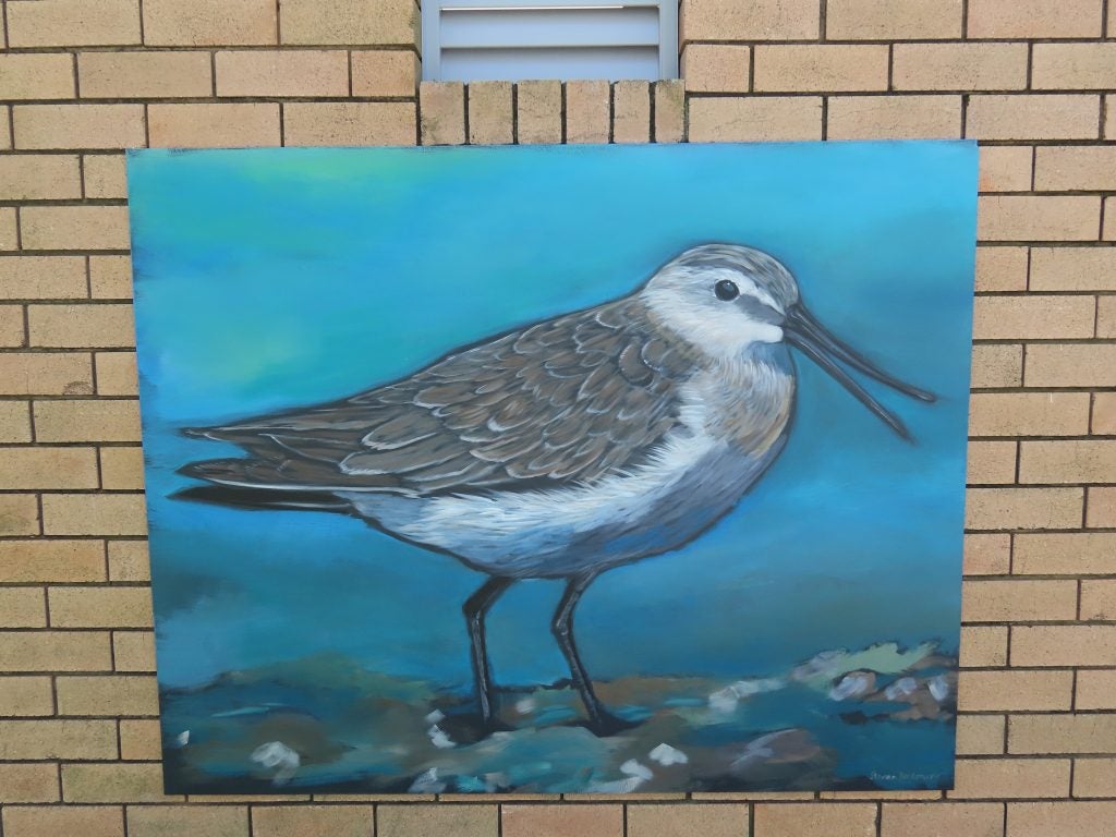 
Bells Creek Mural Curlew Sandpiper