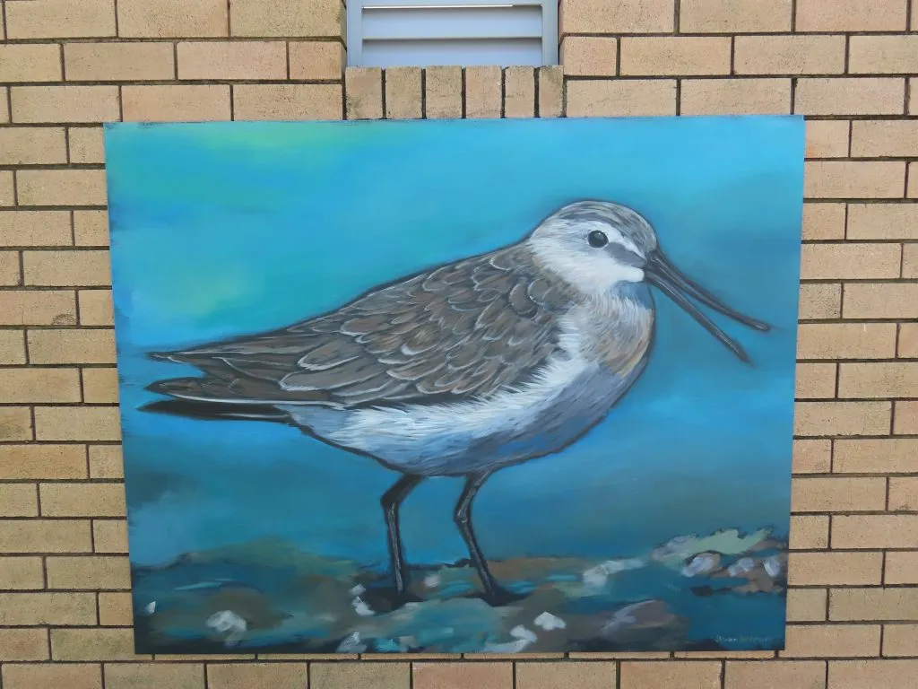 Bells Creek Mural Curlew Sandpiper