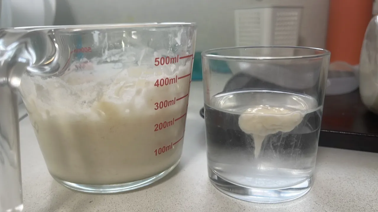 ready to use sourdough starter