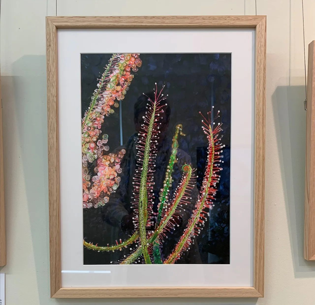 Under 18s Flora winner “Enticement” by Celine S