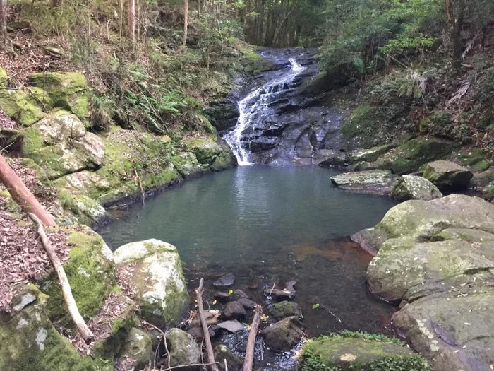 Kondalilla National Park Rock Pools Walk