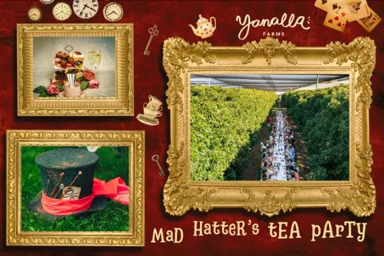 Three framed pictures showing food and drinks, the Mad Hatters hat, and a long table set amongst the greenery of Yanalla Farms.