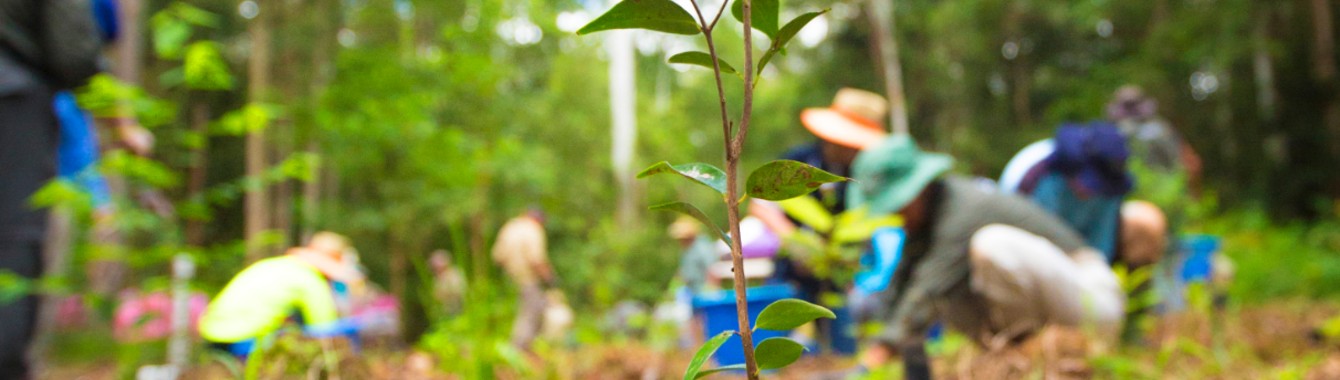 AA243144-6798-4FA2-B164-B76B3B10205C