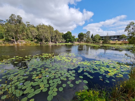 Have your say today: Peregian Springs Community Facility | Sunshine ...