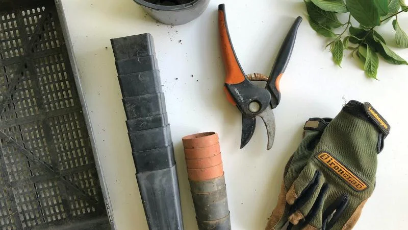 Selection of gardening pots, potting tray, gloves and pruning shears.